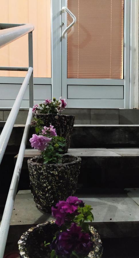 Apartman Todorovic Jagodina Eksteriør bilde